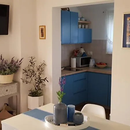 Salsa Apartment