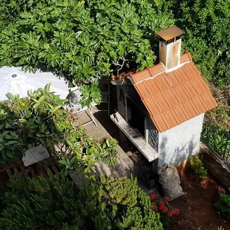 Salsa Apartment
